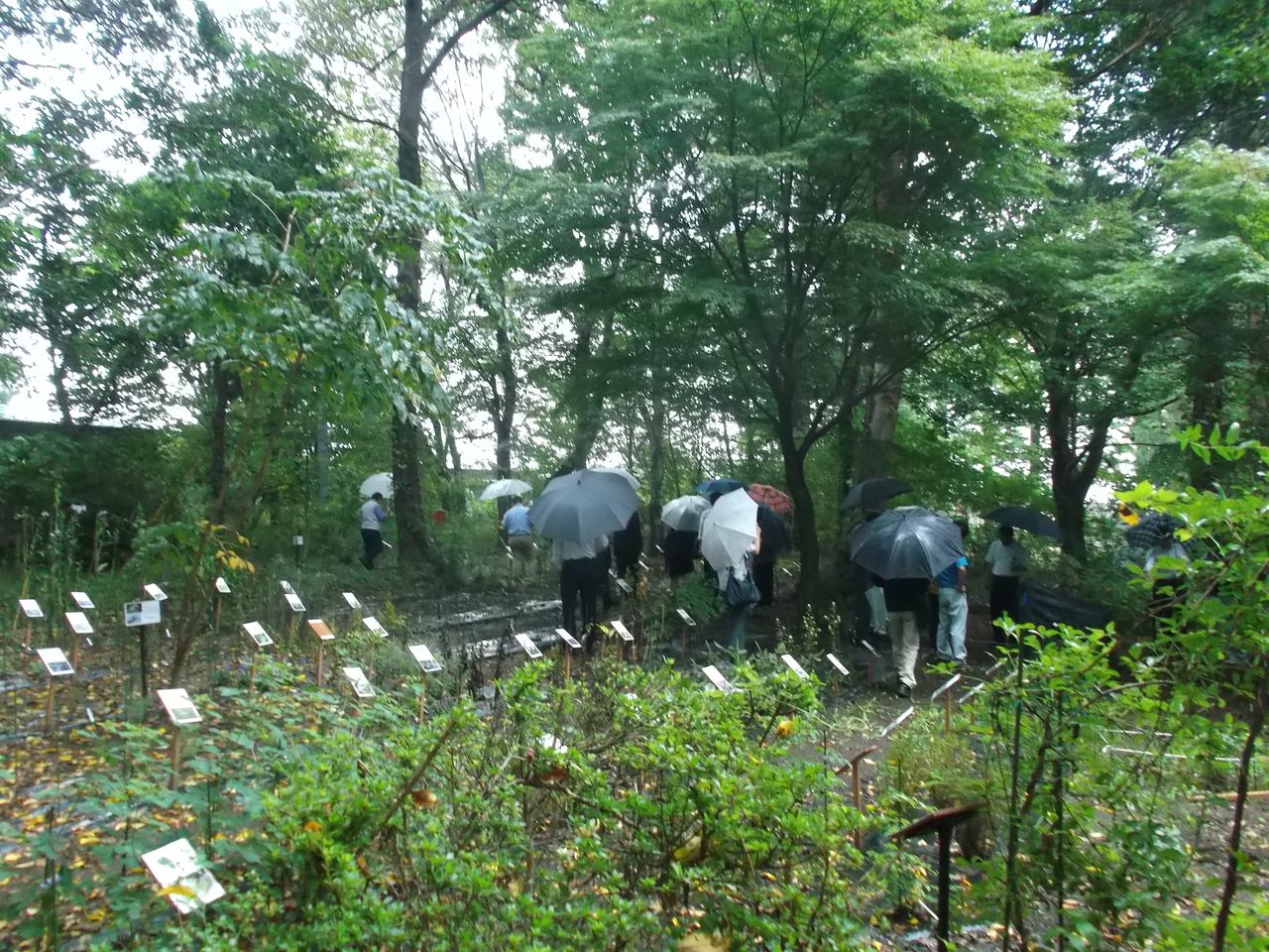 　　　　　　　　　見本園見学(2)