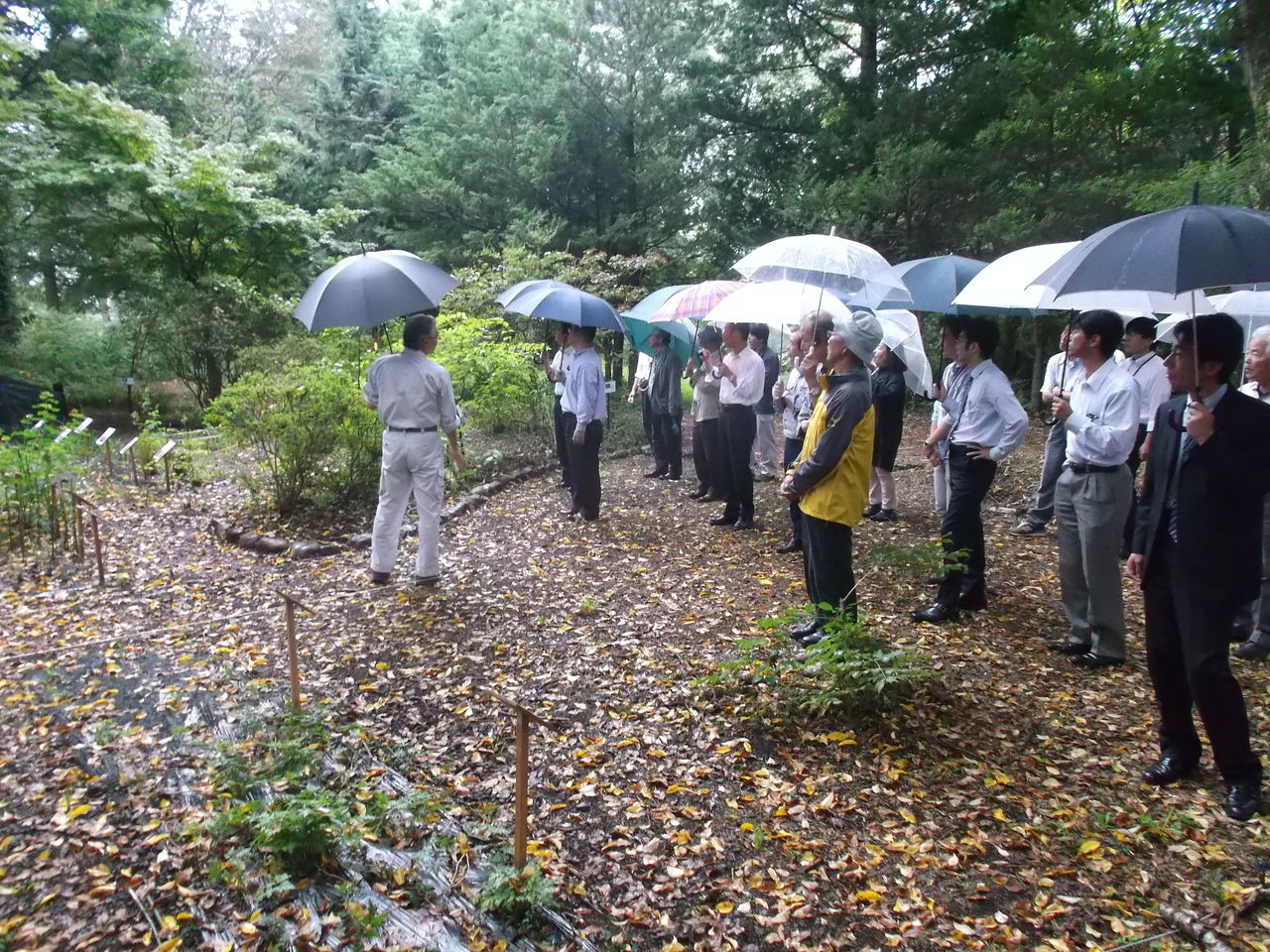 見本園見学(1) 小谷宗司特任教授による説明