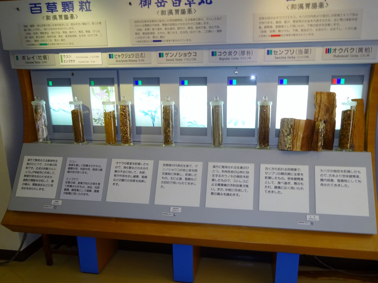 　　　　長野県製薬(株)見学の様子(2)