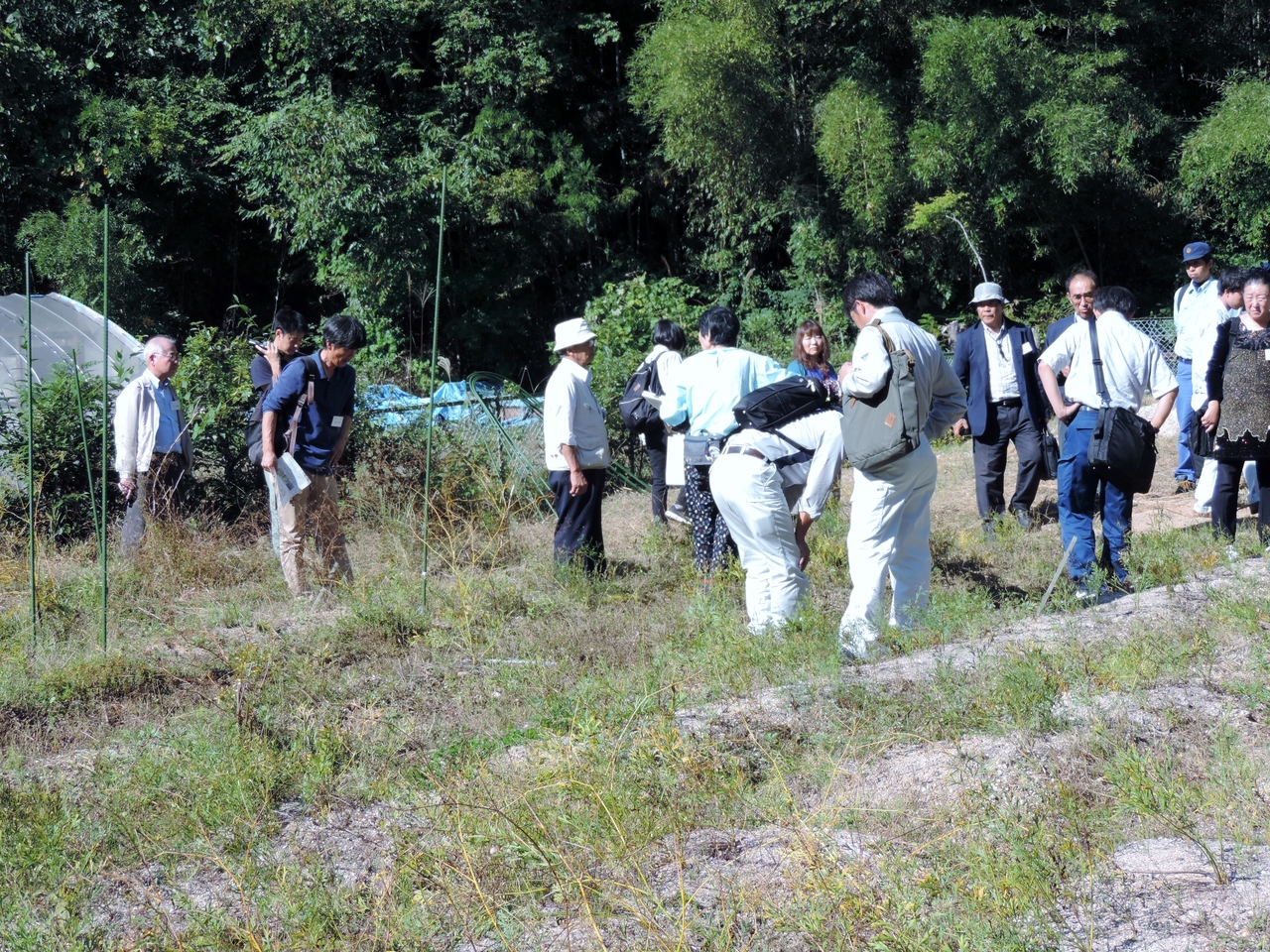 　　「南木曽薬草の会」圃場視察の様子(2)