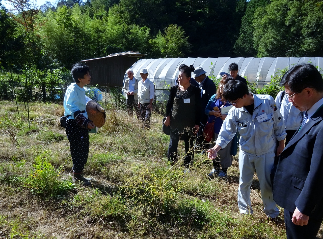 　　「南木曽薬草の会」圃場視察の様子(3)