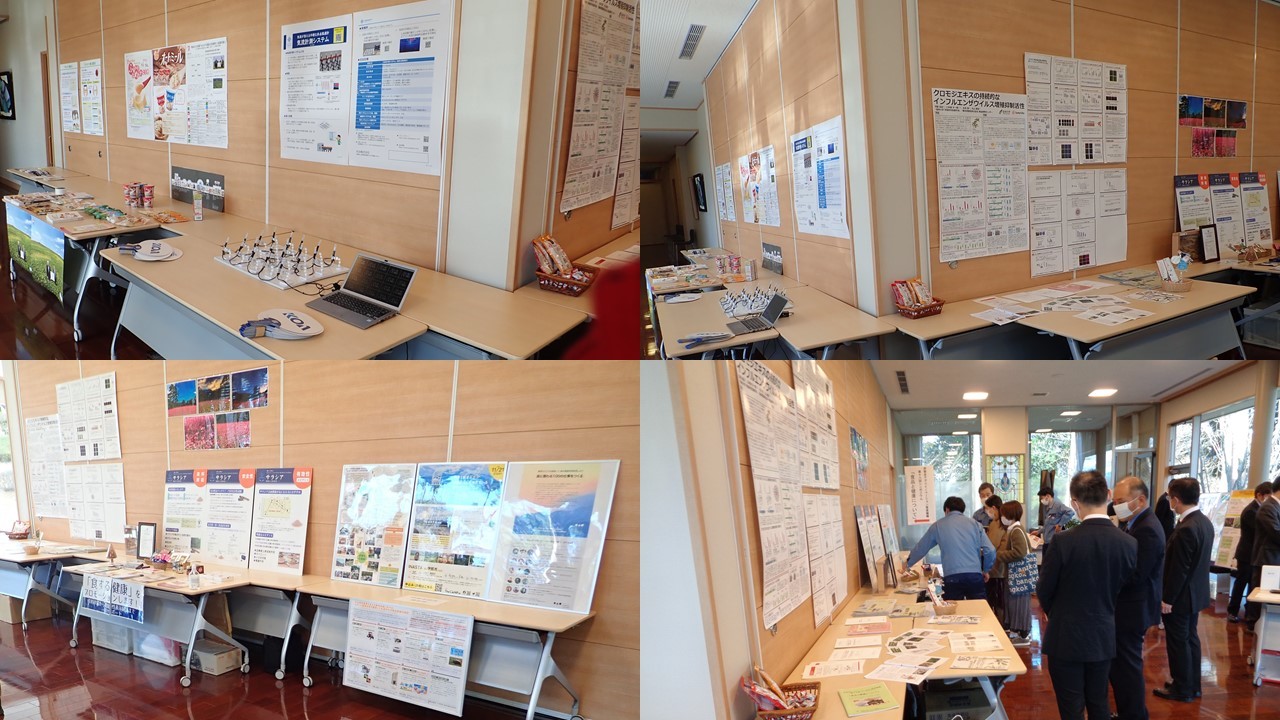 　　　　　　　展示の様子